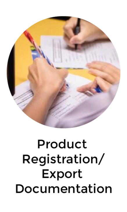 Documentation service visual