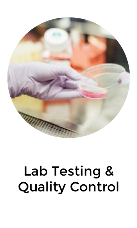 Lab testing service visual